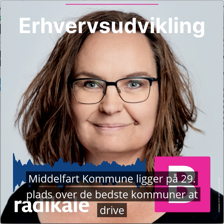 erhverv_soloselvstændige erhvervsudvikling Middelfart
