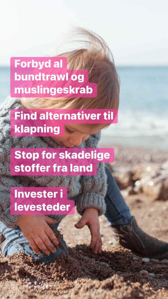 Lilleblt som NaturNationalPark