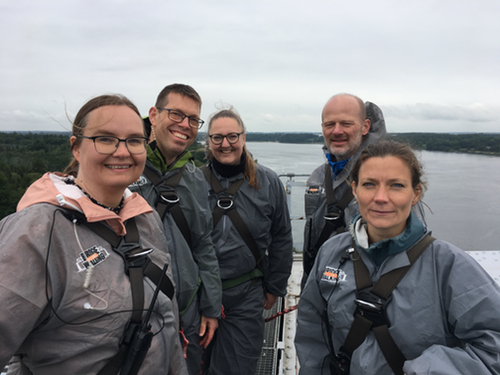 Bridgewalking for lillebælts økosystem
